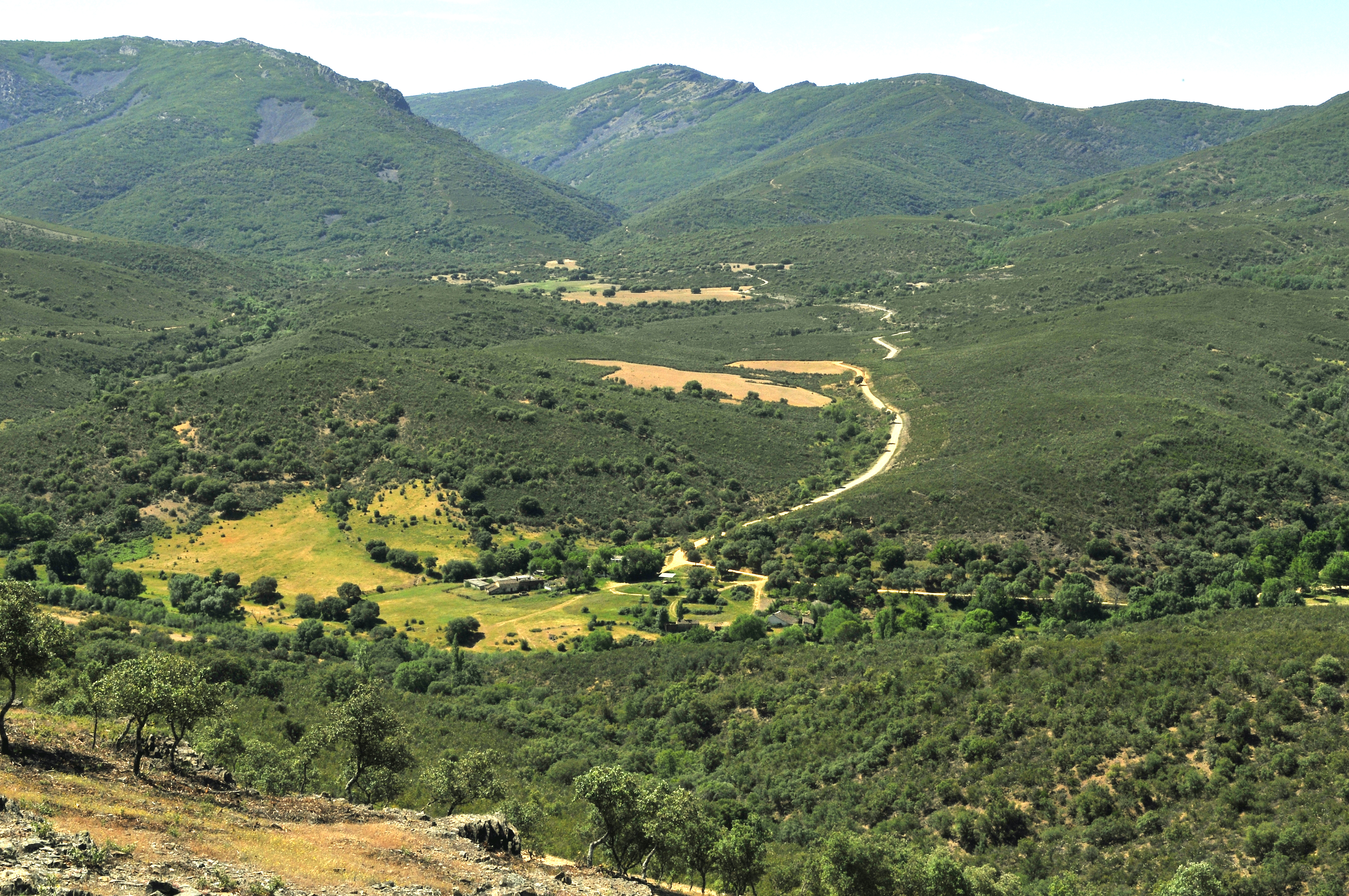Parque Nacional de Cabañeros
