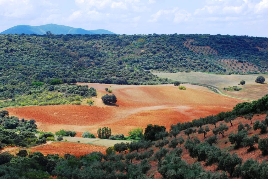 Vista de Gálvez y los Montes de Toledo